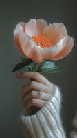 Delicate feminine hand wearing engagement ring and white knit sweater holds single blooming peach-colored peony flower against dark moody background.