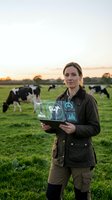 Female farmer using digital tablet with holographic livestock data interface in pasture with dairy cows at sunset for smart agriculture technology.
