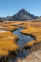 Meandering stream through golden marsh grass leads to dramatic mountain peak under clear blue sky. Natural landscape showcases wilderness and seasonal colors.