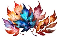 Vibrant autumn maple leaves in metallic blue, orange, and burgundy colors arranged in decorative composition on white background, isolated botanical art element.