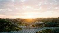 Peaceful wooden bench overlooking serene landscape at golden hour sunrise with warm light filtering through trees and lush garden vegetation.