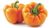 Fresh orange bell peppers with green stems and water droplets on smooth glossy skin, isolated on white background for food and cooking designs.