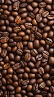 Fresh roasted coffee beans background showing natural variations in color and texture. Close-up macro photography reveals rich brown tones and distinctive crack lines.