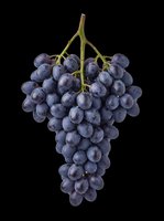 Fresh dark blue grape bunch isolated on transparent background, cut out and ready for stickers, print on demand, T-shirt design, sublimation, and clipart projects.