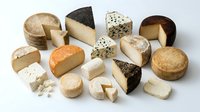 Assorted cheese varieties including aged cheddar, soft brie, blue cheese, and artisanal wheels arranged on white background for food styling and culinary design projects.