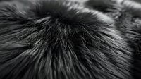 Monochrome macro shot of luxurious fur texture showing detailed strands and fibers in black and white. Natural animal hair creates abstract pattern with depth and movement.