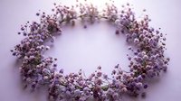 Delicate purple baby's breath flowers arranged in circular wreath on soft lavender background for wedding decor and floral design projects.