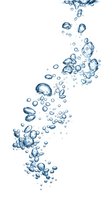 Isolated water bubbles and droplets flowing upward on white background, suitable for design overlays, spa treatments, wellness graphics, and beverage packaging.