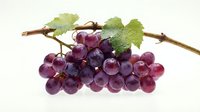 Red grapes with green leaves on vine branch isolated on white background, fresh fruit for healthy eating and nutrition, suitable for food and beverage design.