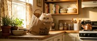 Middle-aged man with light skin tone holding ginger cat in paper grocery bag on kitchen counter. Warm, natural lighting from window illuminates cozy domestic scene with shelving, plants, and vintage stove. Humorous pet moment for lifestyle and home content.