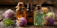 Natural herbal essential oils in glass bottles with fresh clover flowers on rustic wooden background for aromatherapy and wellness treatments.