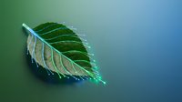 Single green leaf with water droplets floating on calm blue water surface creating natural zen meditation background for wellness spa relaxation concepts.