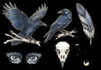 Isolated blue bird illustrations with skull, feathers, and eyes on transparent background, ready for t-shirt design, clipart, stickers, sublimation, and print-on-demand projects.