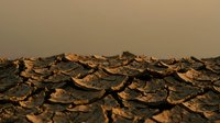 Dried cracked earth surface with deep fissures creating natural polygon patterns under warm lighting conditions for environmental concepts.