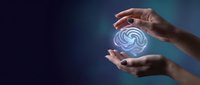 Human hands protecting glowing fingerprint hologram symbol representing digital identity security and biometric authentication technology concept.