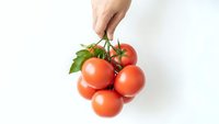 Hand holding fresh red tomatoes bunch with green leaves on white background for cooking and healthy eating concepts.