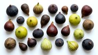 Assorted fresh figs and gooseberries arranged on white background, showcasing various ripe fruits in green, purple, and brown tones for culinary and food styling use.
