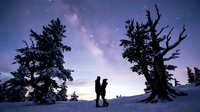 Silhouette of couple standing in snowy landscape beneath starry night sky with gnarled trees and milky way galaxy overhead. Winter romance scene.