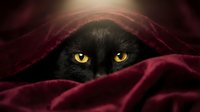 Black cat with glowing yellow eyes peering from under a dark red blanket, mysterious and dramatic mood, perfect for Halloween themes.