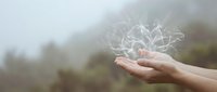 Caucasian hand holding glowing digital network sphere against misty forest landscape, representing connectivity, technology, and environmental awareness for business and innovation concepts.
