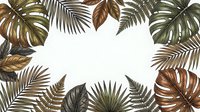 Tropical leaves frame with monstera, palm fronds and ferns creating natural border on white background for botanical design projects.