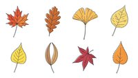Collection of hand-drawn autumn leaves in warm colors isolated on white background for seasonal design projects and fall decorations.