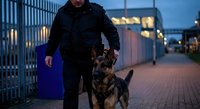 Security guard with German Shepherd dog patrolling urban area at night. Professional law enforcement officer walking with trained K9 partner on city street.