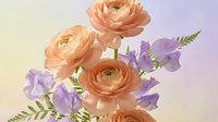 Elegant peach ranunculus and purple sweet pea flowers with delicate fern leaves arranged in soft romantic bouquet on gradient background for wedding decor.