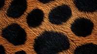 Extreme close up of wild animal fur pattern showing black spots on orange background, natural texture of leopard or cheetah coat for fashion and design projects.