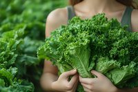 Woman holding fresh curly kale leaves with water droplets in vegetable garden, suitable for healthy eating, organic farming, nutrition, and wellness content.