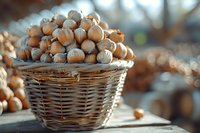 Fresh organic hazelnuts in rustic wicker basket with soft natural lighting, perfect for food photography, cooking blogs, and healthy eating content. Selective focus creates cozy autumn mood.