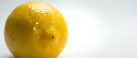 Fresh yellow lemon with water droplets isolated on white background, suitable for food and beverage design projects.