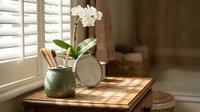 White orchid in ceramic pot with wooden utensils on rustic table by window with natural sunlight streaming through shutters creating peaceful home decor.