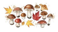 Watercolor autumn mushrooms with fall leaves isolated on white background for seasonal design projects and nature-themed decorations.