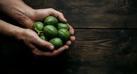 Male hands holding fresh green avocados over rustic wooden surface. Suitable for organic food, agriculture, healthy eating, and farm-to-table culinary content.