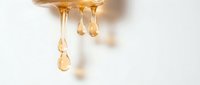 Golden honey drops falling from wooden dipper against clean white background, natural sweetness and organic food concept for culinary designs.