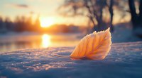 Fallen autumn leaf on snow at sunset, glowing orange in golden hour light with blurred lake reflection and trees in background, creating magical winter mood.