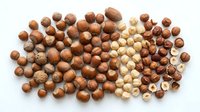 Mixed nuts collection featuring walnuts hazelnuts almonds and pecans scattered on white background for healthy snacking and cooking recipes.