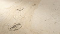 Footprints in wet sand on beach with shallow water and ripples, suitable for travel, nature, and summer vacation concepts.