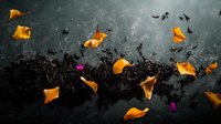 Orange flower petals and pink blossoms scattered against dark moody background with flying birds silhouettes, dramatic nature composition with motion blur effect.