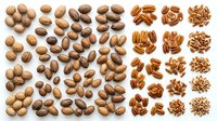 Assorted nuts including almonds, peanuts, pecans, and walnuts isolated on white background. Suitable for food packaging, recipe blogs, nutrition guides, and healthy eating designs.