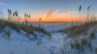 Tranquil winter beach scene with snow-covered sand dunes and sea oats silhouetted against vibrant orange and blue sunset sky over calm ocean waters.