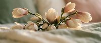 Delicate magnolia blossoms with soft pink petals resting on flowing fabric in warm natural light creating peaceful spring atmosphere for wellness and relaxation.