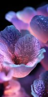 Glowing purple and pink flower petals with magical sparkles and dewdrops in macro photography against dark background, creating ethereal nature atmosphere.