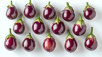 Fresh purple eggplants arranged in neat rows on white background, organic produce pattern showing glossy aubergines with green stems, isolated for food design.