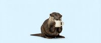 Cute otter sitting upright holding a small mug on a light blue background, isolated for creative design use in prints and cards.