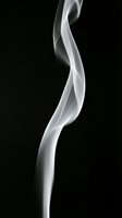 Elegant white smoke curl rising gracefully against a dark black background, capturing fluid motion and abstract texture.