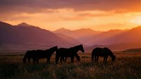 Silhouetted horses grazing in vast meadow during golden sunset with dramatic mountain range backdrop and warm orange sky, suitable for nature and wildlife backgrounds.