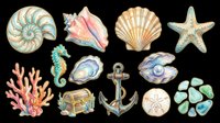 Watercolor sea life collection featuring nautilus shell, conch, scallop, starfish, seahorse, coral, oyster, treasure chest, anchor, sand dollar, and sea glass isolated on transparent background. Ready for t-shirt design, clipart, stickers, sublimation, and print-on-demand projects.