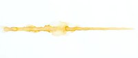 Golden yellow watercolor brush stroke with organic flowing texture on white background for artistic design projects and creative layouts.